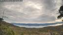 ./images/calvert/fitz-hugh-hecate/20260418/fitz-hugh-hecate20260418_081001M.jpg