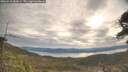 ./images/calvert/fitz-hugh-hecate/20260418/fitz-hugh-hecate20260418_085001M.jpg