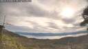 ./images/calvert/fitz-hugh-hecate/20260418/fitz-hugh-hecate20260418_090001M.jpg