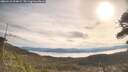 ./images/calvert/fitz-hugh-hecate/20260418/fitz-hugh-hecate20260418_094001M.jpg