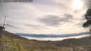 ./images/calvert/fitz-hugh-hecate/20260418/fitz-hugh-hecate20260418_100001M.jpg