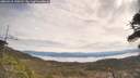 ./images/calvert/fitz-hugh-hecate/20260418/fitz-hugh-hecate20260418_110501M.jpg