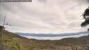 ./images/calvert/fitz-hugh-hecate/20260418/fitz-hugh-hecate20260418_122501M.jpg
