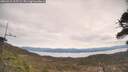 ./images/calvert/fitz-hugh-hecate/20260418/fitz-hugh-hecate20260418_123501M.jpg