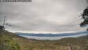 ./images/calvert/fitz-hugh-hecate/20260418/fitz-hugh-hecate20260418_151002M.jpg