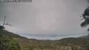 ./images/calvert/fitz-hugh-hecate/20260418/fitz-hugh-hecate20260418_170502M.jpg