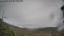 ./images/calvert/fitz-hugh-hecate/20260418/fitz-hugh-hecate20260418_174501M.jpg
