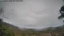 ./images/calvert/fitz-hugh-hecate/20260418/fitz-hugh-hecate20260418_175502M.jpg