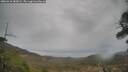 ./images/calvert/fitz-hugh-hecate/20260418/fitz-hugh-hecate20260418_182002M.jpg