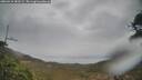 ./images/calvert/fitz-hugh-hecate/20260418/fitz-hugh-hecate20260418_183501M.jpg