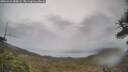 ./images/calvert/fitz-hugh-hecate/20260418/fitz-hugh-hecate20260418_184501M.jpg