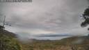 ./images/calvert/fitz-hugh-hecate/20260418/fitz-hugh-hecate20260418_190001M.jpg