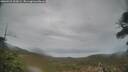 ./images/calvert/fitz-hugh-hecate/20260418/fitz-hugh-hecate20260418_201001M.jpg