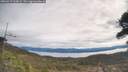 ./images/calvert/fitz-hugh-hecate/20260419/fitz-hugh-hecate20260419_110001M.jpg