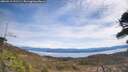 ./images/calvert/fitz-hugh-hecate/20260419/fitz-hugh-hecate20260419_121501M.jpg