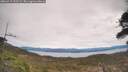 ./images/calvert/fitz-hugh-hecate/20260419/fitz-hugh-hecate20260419_133501M.jpg