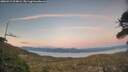 ./images/calvert/fitz-hugh-hecate/20260419/fitz-hugh-hecate20260419_204001M.jpg