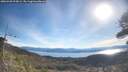 ./images/calvert/fitz-hugh-hecate/20260420/fitz-hugh-hecate20260420_093001M.jpg