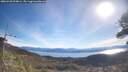 ./images/calvert/fitz-hugh-hecate/20260420/fitz-hugh-hecate20260420_094001M.jpg