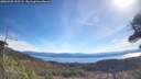 ./images/calvert/fitz-hugh-hecate/20260420/fitz-hugh-hecate20260420_102502M.jpg