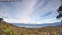 ./images/calvert/fitz-hugh-hecate/20260420/fitz-hugh-hecate20260420_144001M.jpg