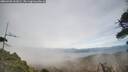 ./images/calvert/fitz-hugh-hecate/20260420/fitz-hugh-hecate20260420_161001M.jpg