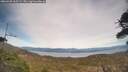./images/calvert/fitz-hugh-hecate/20260420/fitz-hugh-hecate20260420_165501M.jpg