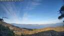./images/calvert/fitz-hugh-hecate/20260420/fitz-hugh-hecate20260420_192501M.jpg