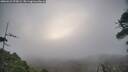 ./images/calvert/fitz-hugh-hecate/20260421/fitz-hugh-hecate20260421_070001M.jpg