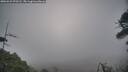 ./images/calvert/fitz-hugh-hecate/20260421/fitz-hugh-hecate20260421_070501M.jpg