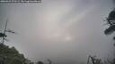 ./images/calvert/fitz-hugh-hecate/20260421/fitz-hugh-hecate20260421_071501M.jpg