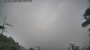 ./images/calvert/fitz-hugh-hecate/20260421/fitz-hugh-hecate20260421_072502M.jpg