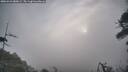 ./images/calvert/fitz-hugh-hecate/20260421/fitz-hugh-hecate20260421_080001M.jpg
