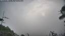./images/calvert/fitz-hugh-hecate/20260421/fitz-hugh-hecate20260421_080501M.jpg