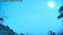 ./images/calvert/fitz-hugh-hecate/20260421/fitz-hugh-hecate20260421_094001M.jpg