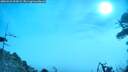 ./images/calvert/fitz-hugh-hecate/20260421/fitz-hugh-hecate20260421_094502M.jpg