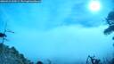 ./images/calvert/fitz-hugh-hecate/20260421/fitz-hugh-hecate20260421_095001M.jpg