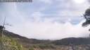 ./images/calvert/fitz-hugh-hecate/20260421/fitz-hugh-hecate20260421_103501M.jpg