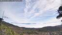 ./images/calvert/fitz-hugh-hecate/20260421/fitz-hugh-hecate20260421_110502M.jpg