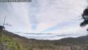 ./images/calvert/fitz-hugh-hecate/20260421/fitz-hugh-hecate20260421_113501M.jpg