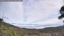 ./images/calvert/fitz-hugh-hecate/20260421/fitz-hugh-hecate20260421_114002M.jpg