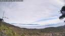 ./images/calvert/fitz-hugh-hecate/20260421/fitz-hugh-hecate20260421_115502M.jpg