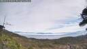 ./images/calvert/fitz-hugh-hecate/20260421/fitz-hugh-hecate20260421_121001M.jpg