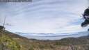 ./images/calvert/fitz-hugh-hecate/20260421/fitz-hugh-hecate20260421_123501M.jpg