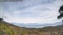 ./images/calvert/fitz-hugh-hecate/20260421/fitz-hugh-hecate20260421_125001M.jpg