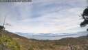 ./images/calvert/fitz-hugh-hecate/20260421/fitz-hugh-hecate20260421_125501M.jpg