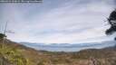 ./images/calvert/fitz-hugh-hecate/20260421/fitz-hugh-hecate20260421_132001M.jpg