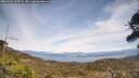 ./images/calvert/fitz-hugh-hecate/20260421/fitz-hugh-hecate20260421_135502M.jpg