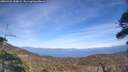 ./images/calvert/fitz-hugh-hecate/20260421/fitz-hugh-hecate20260421_160002M.jpg