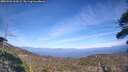 ./images/calvert/fitz-hugh-hecate/20260421/fitz-hugh-hecate20260421_163501M.jpg